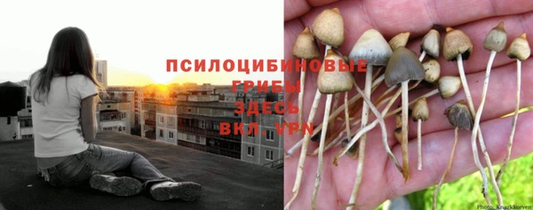 мяу мяу мука Михайловка