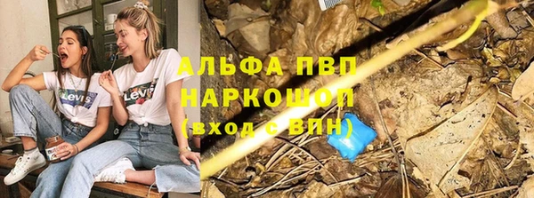 тгк Михайлов